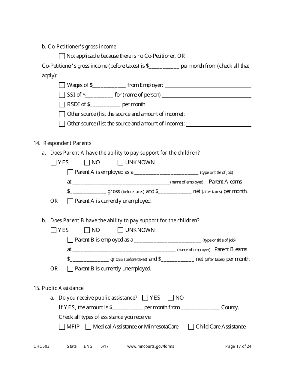 Form CHC603 Petition for Third Party Custody - Minnesota, Page 17