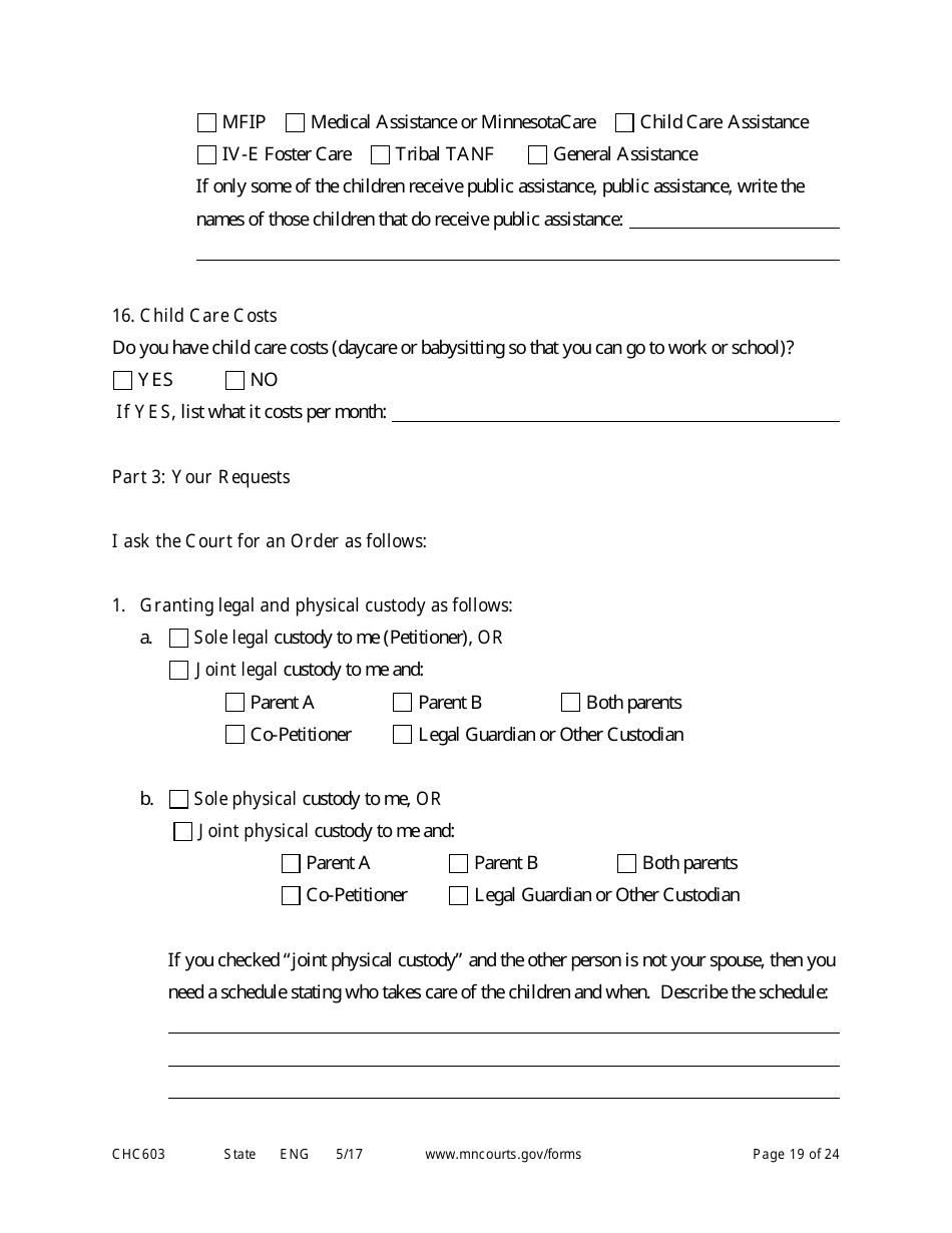 Form CHC603 Petition for Third Party Custody - Minnesota, Page 19