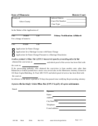 Document preview: Form DIV106 Felony Notification Affidavit - Minnesota