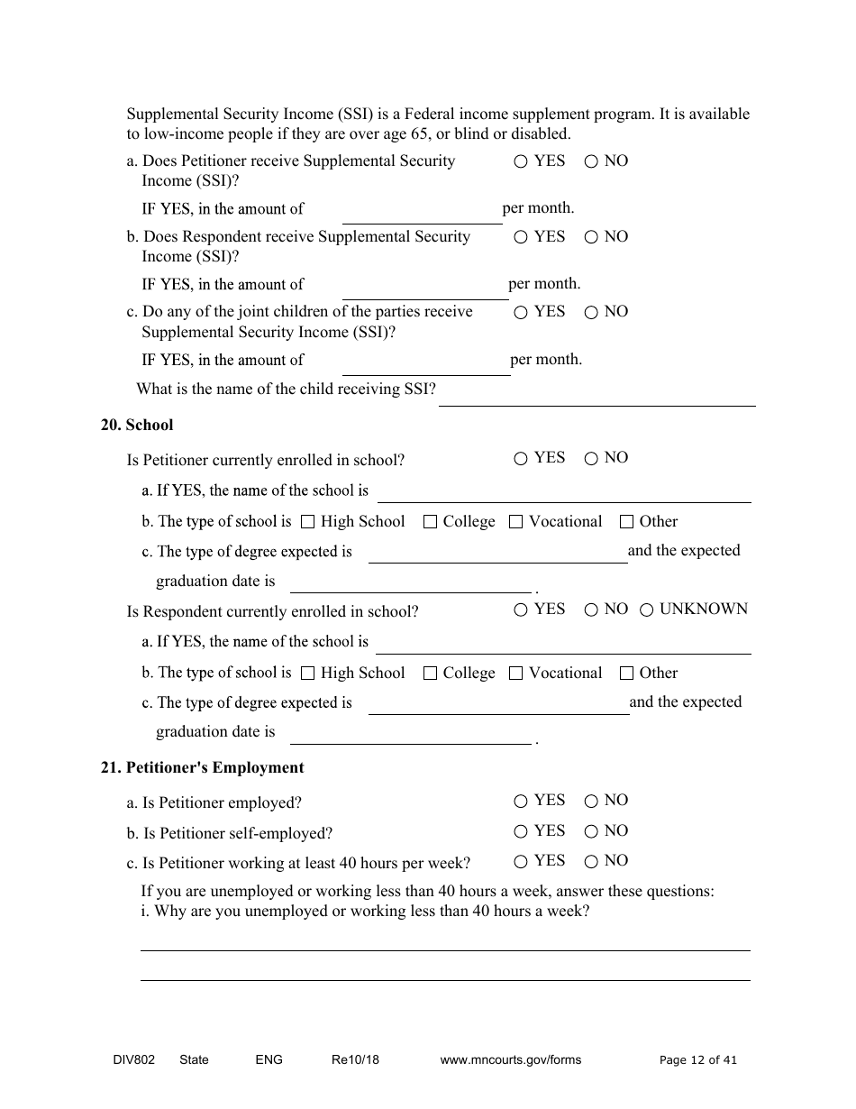 Form DIV802 Petition for Dissolution of Marriage With Children - Minnesota, Page 12