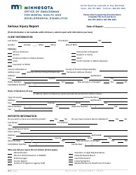 Serious Injury Report Form - Minnesota