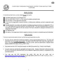 Form C2 Charitable Organization Annual Report Form - Minnesota, Page 2
