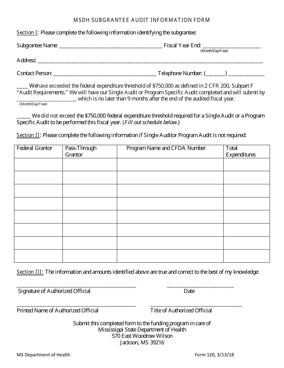 Form 120 Msdh Subgrantee Audit Information Form - Mississippi, Page 1
