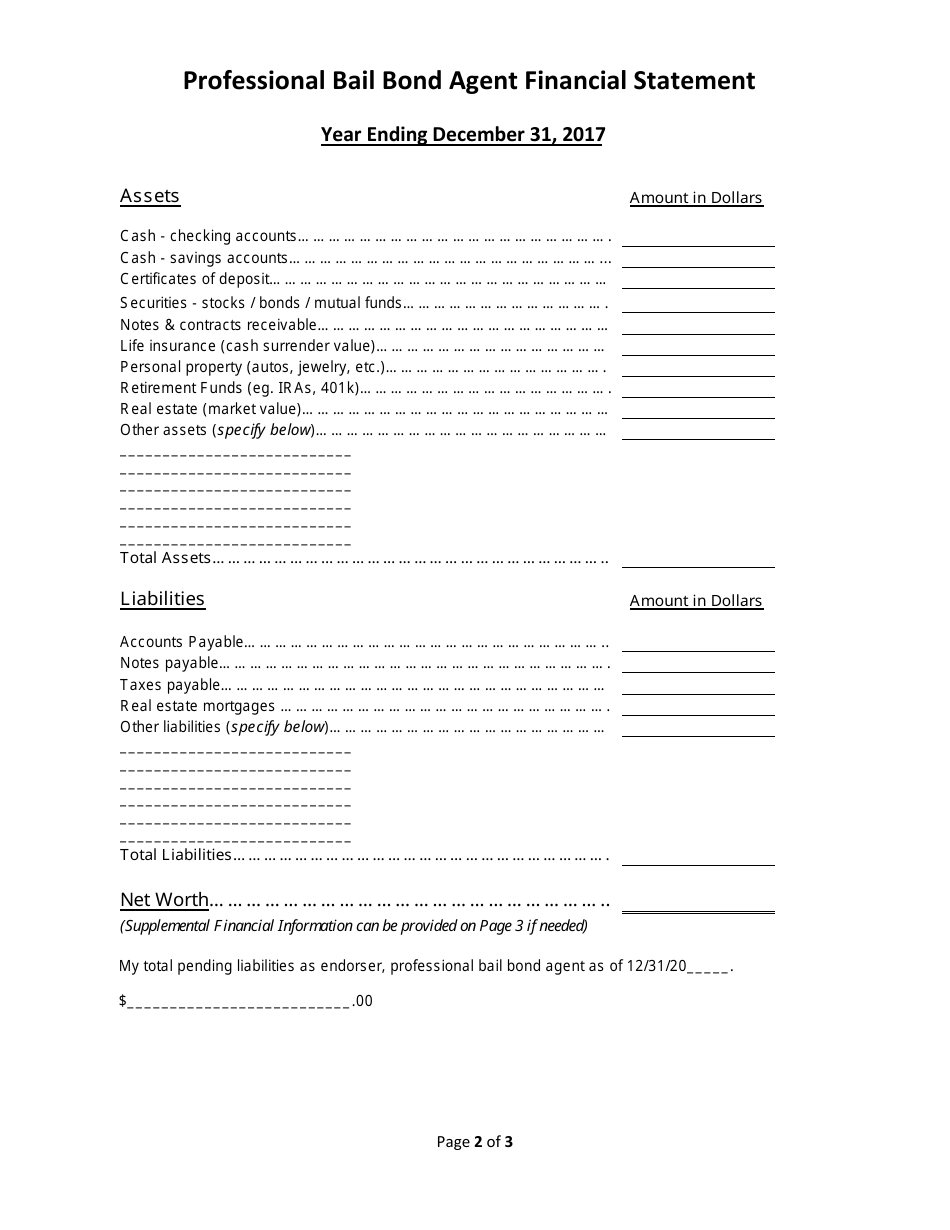Professional Bail Bond Agent Financial Statement - Mississippi, Page 2