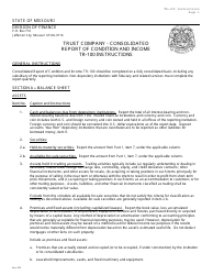 Instructions for Form TR-100 &quot;Trust Company Consolidated Report of Condition and Income&quot; - Missouri