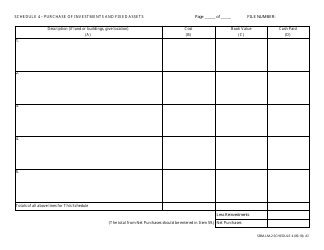 Form SBM-LM-2 Schedule 4 &quot;Purchase of Investments and Fixed Assets&quot; - Minnesota