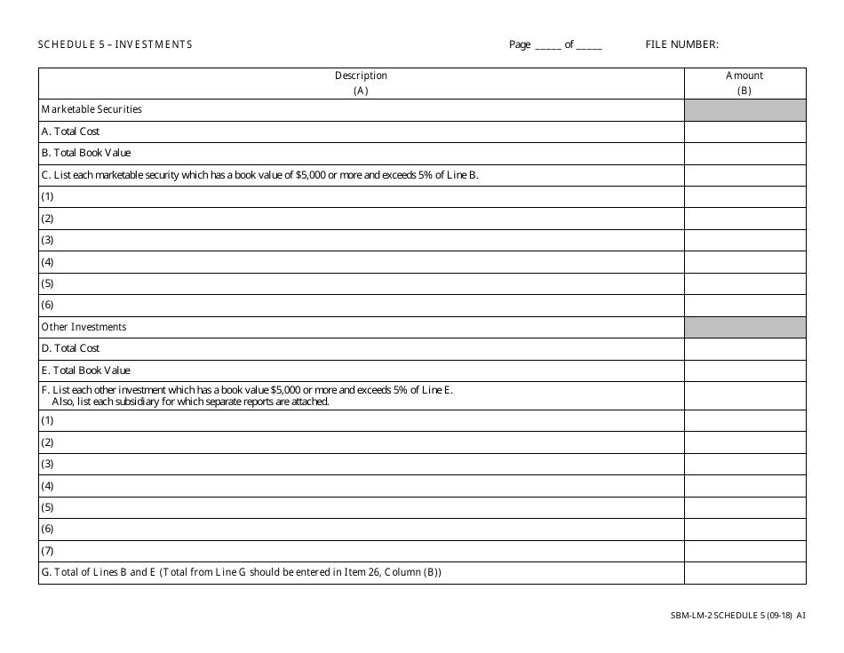 Form SBM-LM-2 Schedule 5 Investments - Minnesota, Page 1