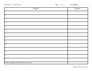 Form SBM-LM-2 Schedule 7 &quot;Other Assets&quot; - Minnesota