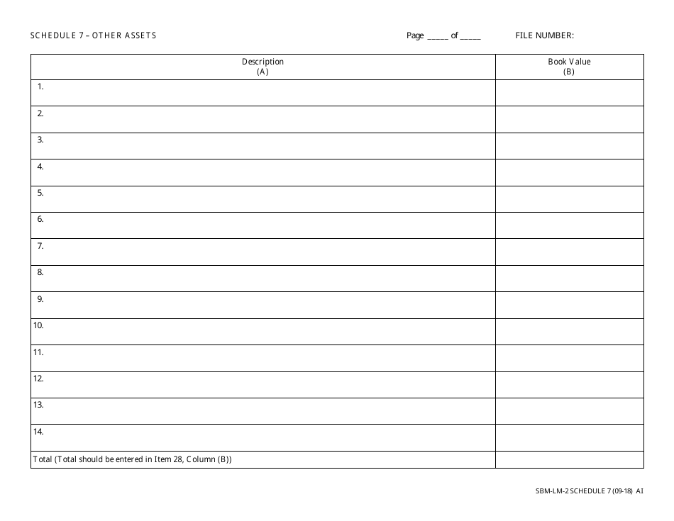 Form SBM-LM-2 Schedule 7 Other Assets - Minnesota, Page 1