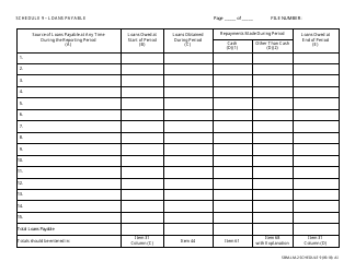 Document preview: Form SBM-LM-2 Schedule 9 Loans Payable - Missouri
