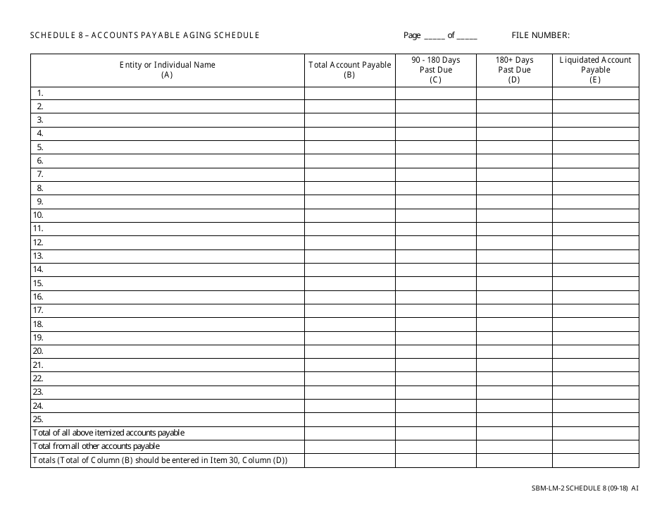 Form SBM-LM-2 Schedule 8 Accounts Payable Aging Schedule - Missouri, Page 1