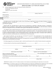 Document preview: Form MODES-4354 Irrevocable Letter of Credit - Missouri