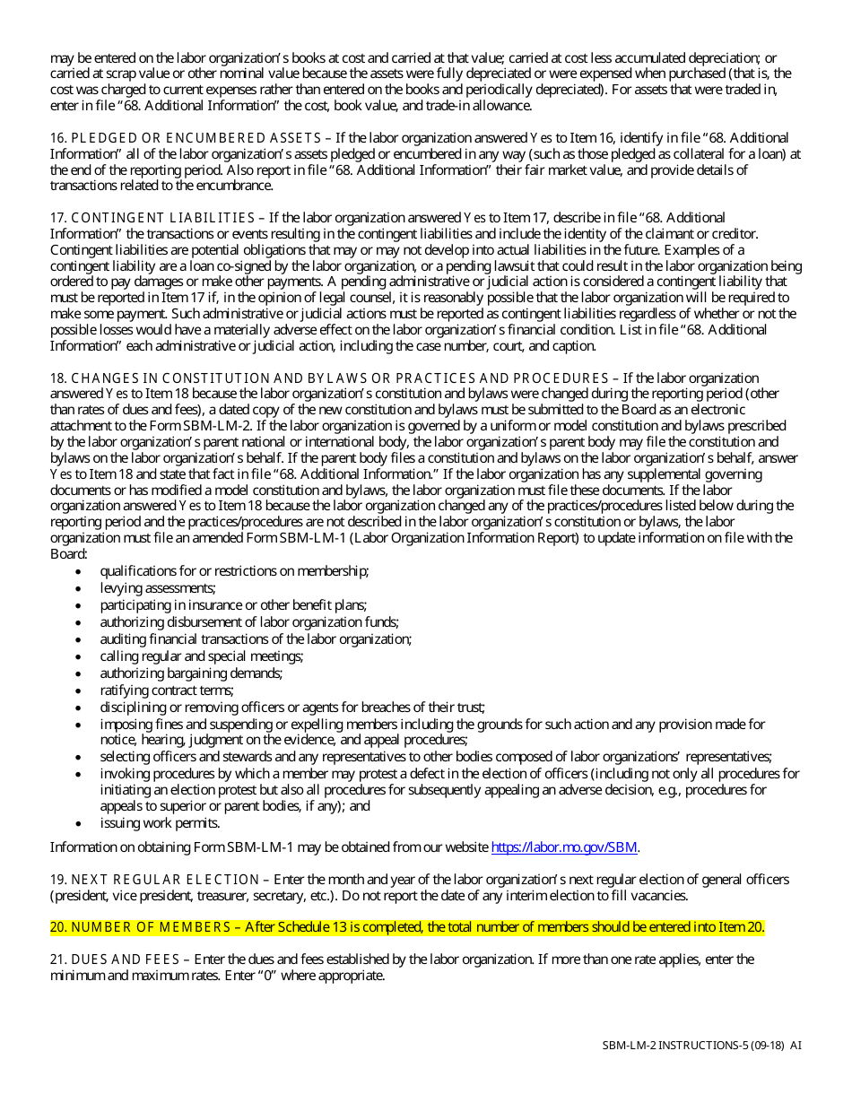 Instructions for Form SBM-LM-2 Labor Organization Annual Report - Missouri, Page 5