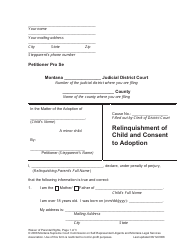 Petition for Stepparent Adoption - Montana, Page 15