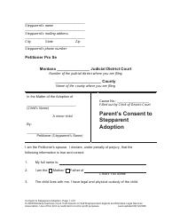 Petition for Stepparent Adoption - Montana, Page 18