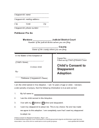 Petition for Stepparent Adoption - Montana, Page 20