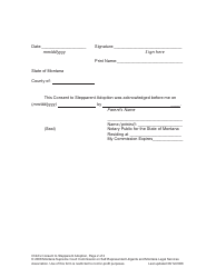 Petition for Stepparent Adoption - Montana, Page 21