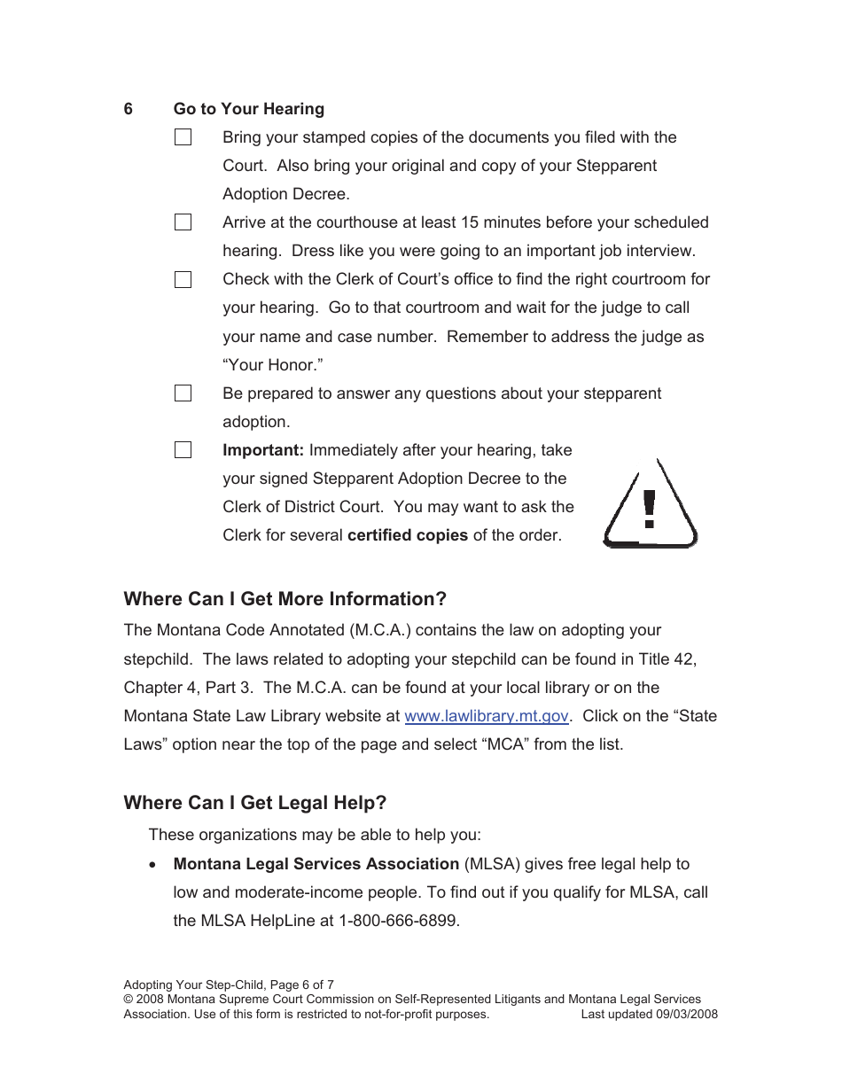 Petition for Stepparent Adoption - Montana, Page 6