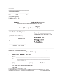 Petition for Stepparent Adoption - Montana, Page 8