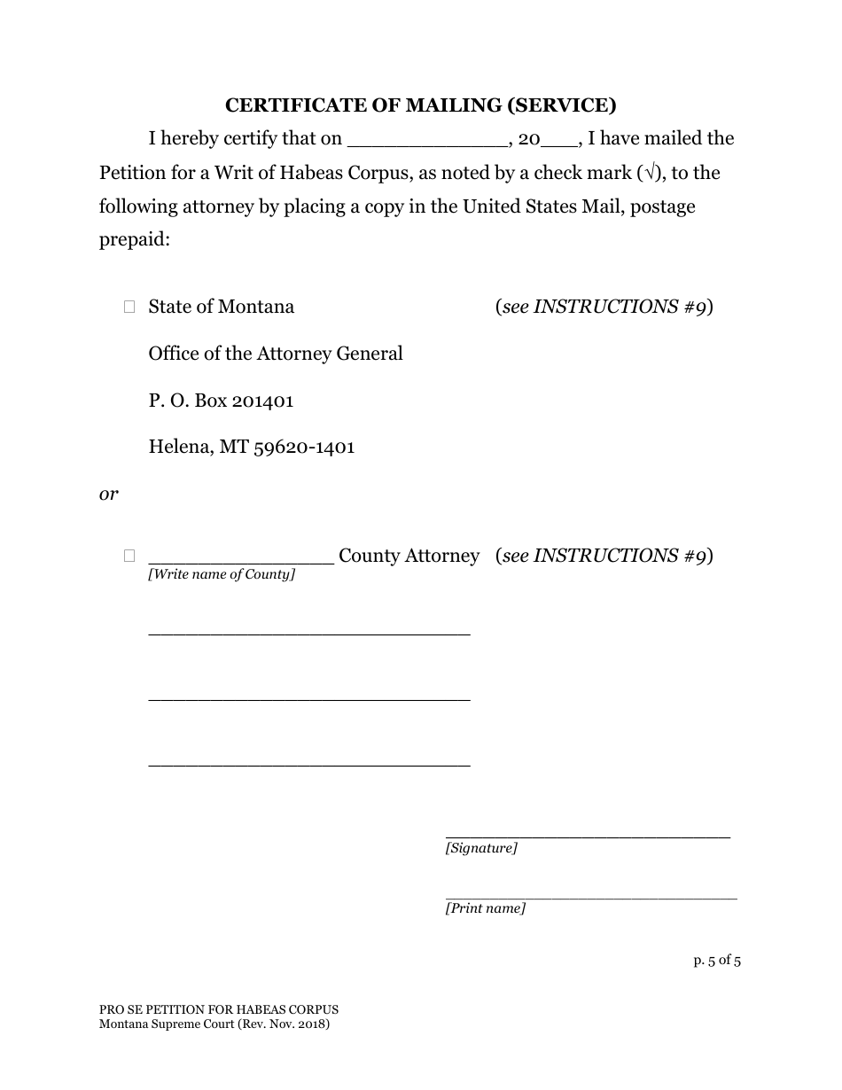 Petition for a Writ of Habeas Corpus Form - Montana, Page 6