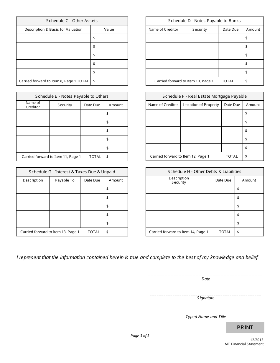 Money Transmitter Financial Statement (Individual) - Nebraska, Page 3