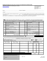 Document preview: Delayed Deposit Services Financial Statement (Individual) - Nebraska