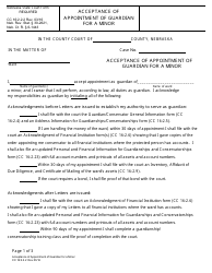 Document preview: Form CC16:2.2.2 Acceptance of Appointment of Guardian for a Minor - Nebraska