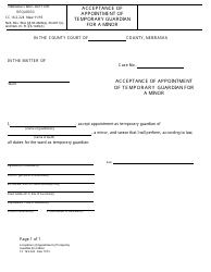 Document preview: Form CC16:2.224 Acceptance of Appointment of Temporary Guardian and Temporary Conservator for a Minor - Nebraska