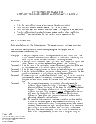 Document preview: Instructions for Form DC6:5(1) Complaint for Dissolution of Marriage (With Child(Ren)) - Nebraska