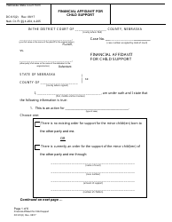 Document preview: Form DC6:5(2) Financial Affidavit for Child Support - Nebraska