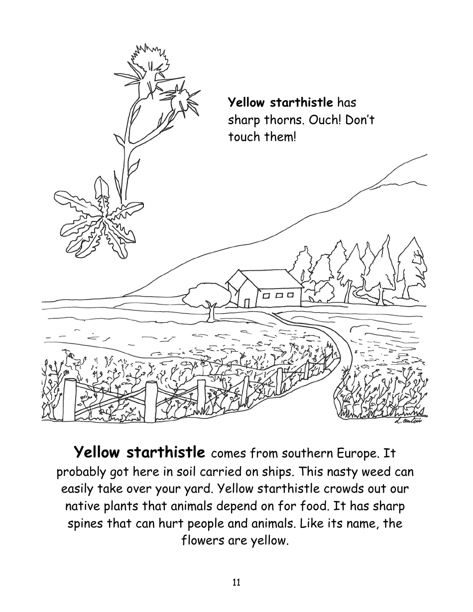 Nevada Weed Busters Coloring Book - University of Nevada - Nevada, Page 12