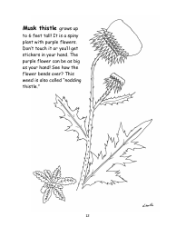Nevada Weed Busters Coloring Book - University of Nevada - Nevada, Page 13