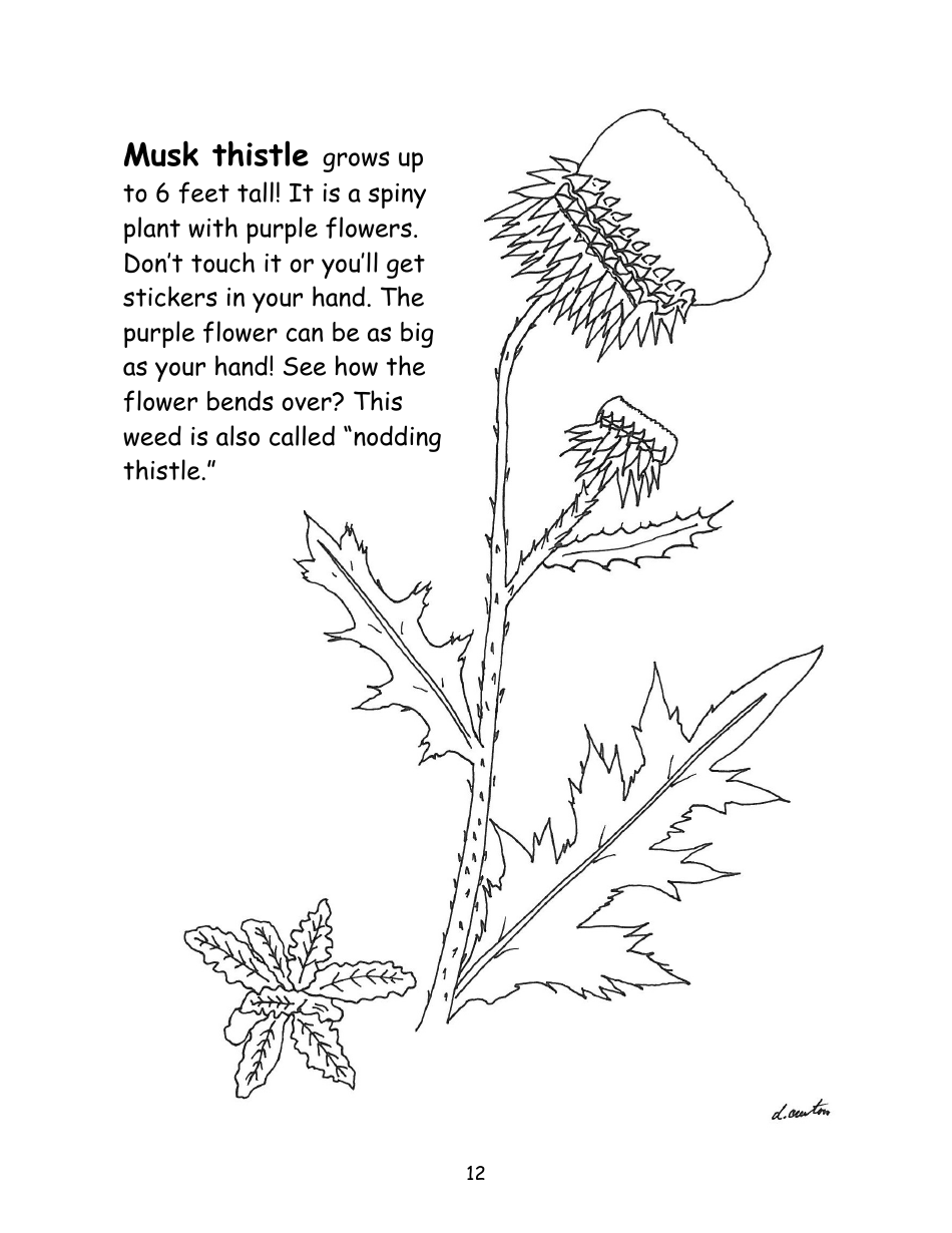 Nevada Weed Busters Coloring Book - University of Nevada - Nevada, Page 13