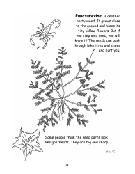 Nevada Weed Busters Coloring Book - University of Nevada - Nevada, Page 15