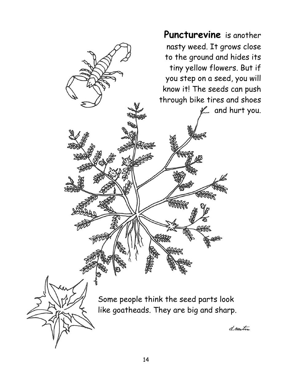 Nevada Weed Busters Coloring Book - University of Nevada - Nevada, Page 15