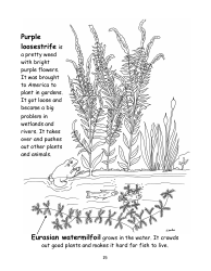 Nevada Weed Busters Coloring Book - University of Nevada - Nevada, Page 16
