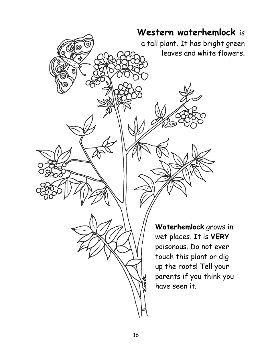 Nevada Weed Busters Coloring Book - University of Nevada - Nevada, Page 17