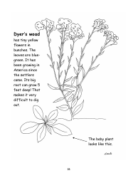 Nevada Weed Busters Coloring Book - University of Nevada - Nevada, Page 19