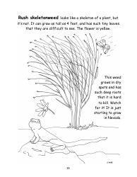 Nevada Weed Busters Coloring Book - University of Nevada - Nevada, Page 20