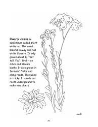 Nevada Weed Busters Coloring Book - University of Nevada - Nevada, Page 21