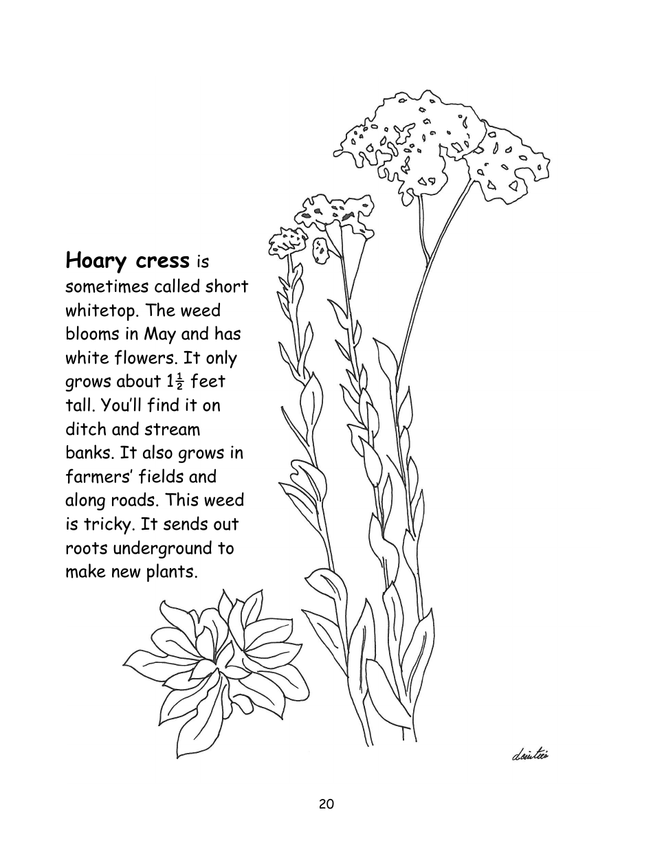 Nevada Weed Busters Coloring Book - University of Nevada - Nevada, Page 21
