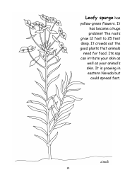 Nevada Weed Busters Coloring Book - University of Nevada - Nevada, Page 22