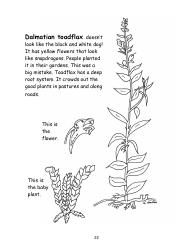 Nevada Weed Busters Coloring Book - University of Nevada - Nevada, Page 23