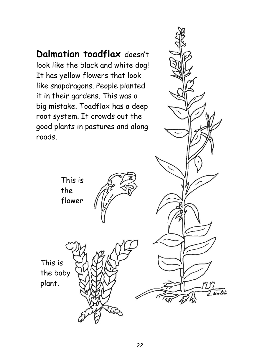 Nevada Weed Busters Coloring Book - University of Nevada - Nevada, Page 23