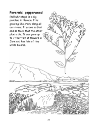 Nevada Weed Busters Coloring Book - University of Nevada - Nevada, Page 24