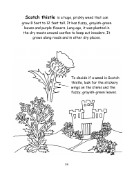 Nevada Weed Busters Coloring Book - University of Nevada - Nevada, Page 25