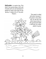 Nevada Weed Busters Coloring Book - University of Nevada - Nevada, Page 26