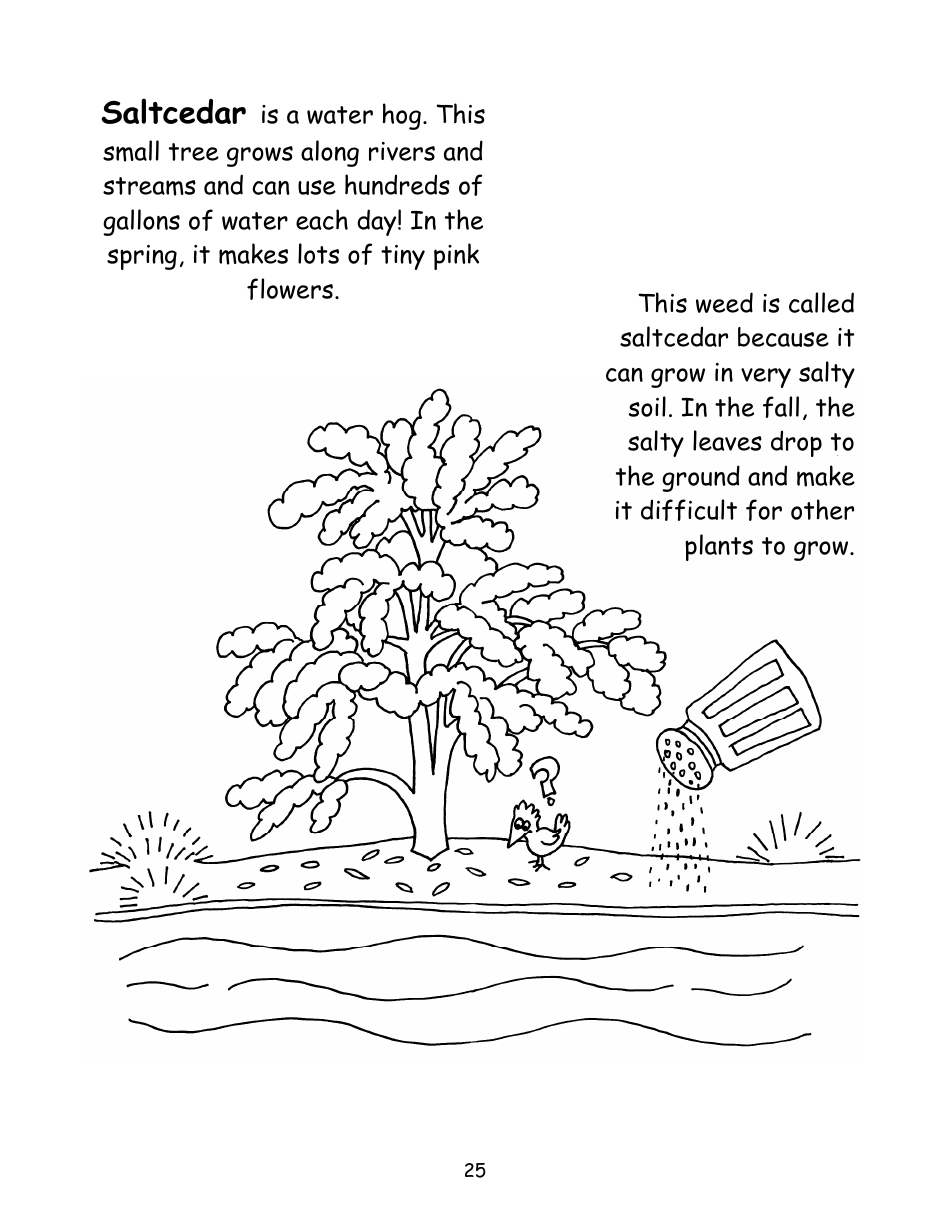 Nevada Weed Busters Coloring Book - University of Nevada - Nevada, Page 26