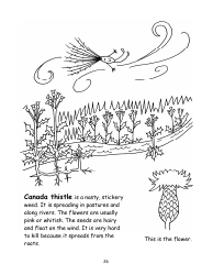 Nevada Weed Busters Coloring Book - University of Nevada - Nevada, Page 27