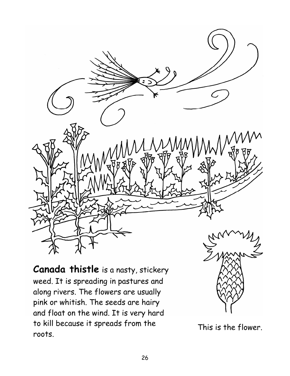 Nevada Weed Busters Coloring Book - University of Nevada - Nevada, Page 27